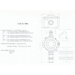 Cutie cu doua microintrerupatoare, Cod Ex 100A